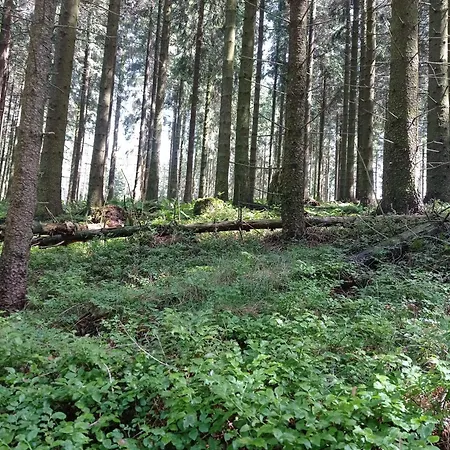 Urlaub Mit Der Ganzen Familie Im In Der *