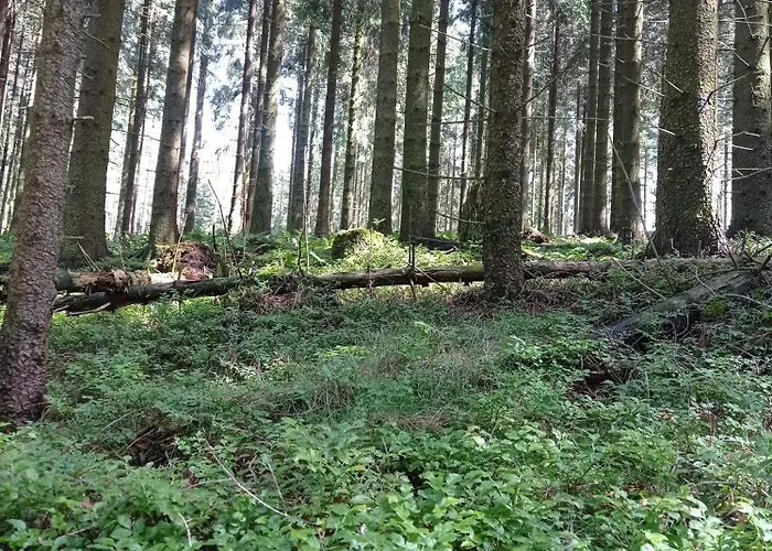 Urlaub Mit Der Ganzen Familie Im In Der *