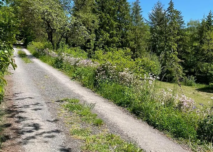 別荘 Urlaub Mit Der Ganzen Familie Im In Der Diemelsee